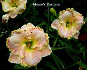 Meme's Fashion (2013)